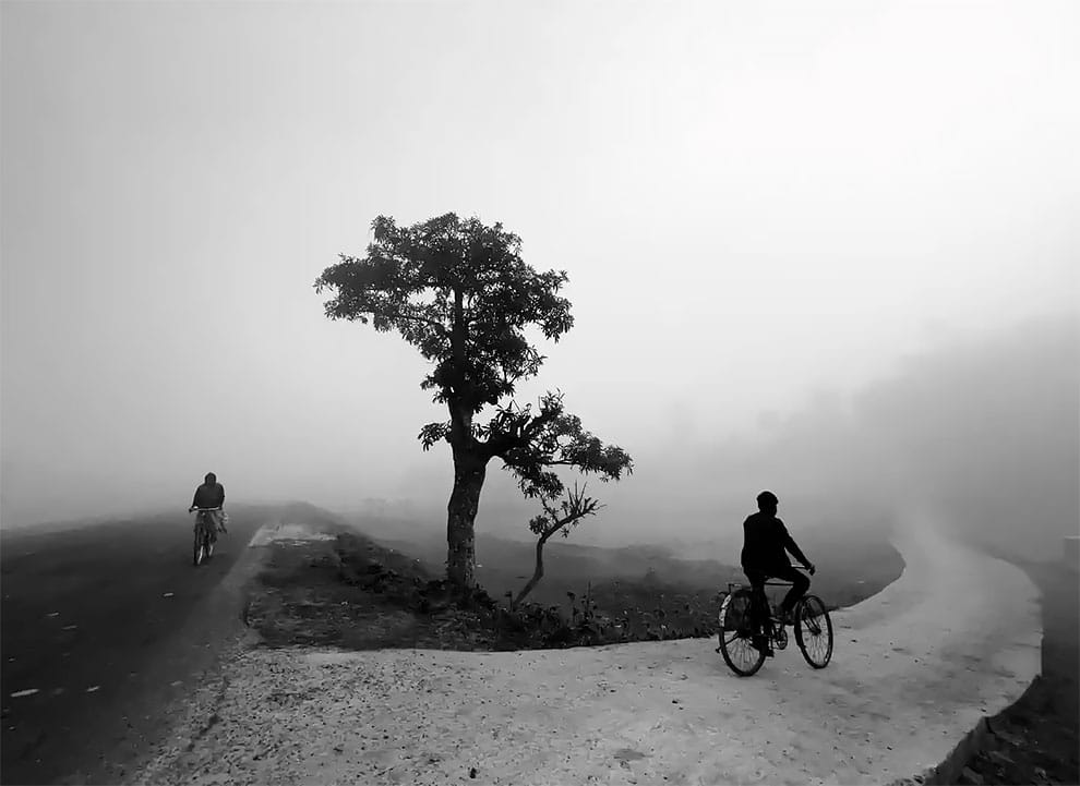 Third place – lifestyle. Cycle of Life