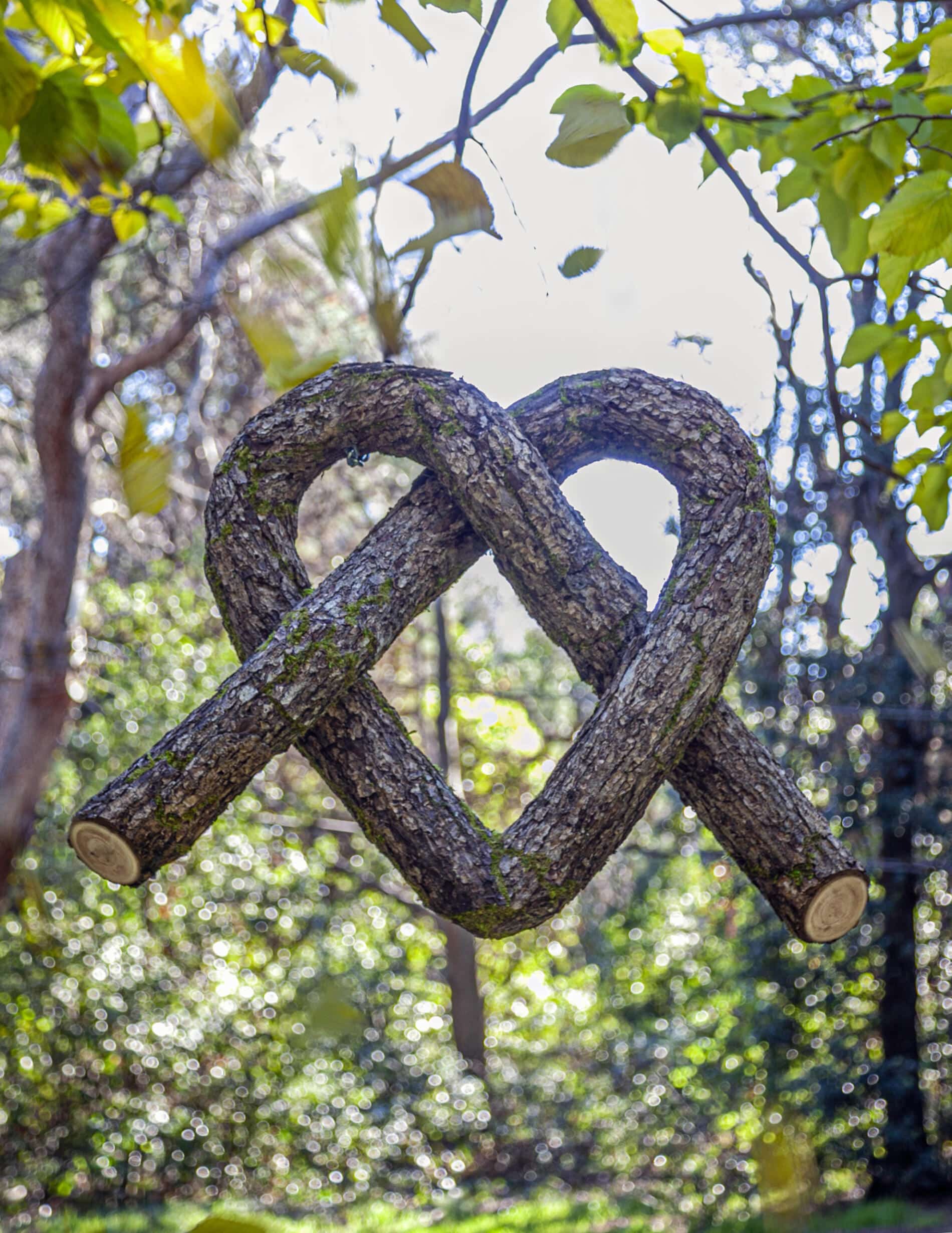 Christophe Guinet monsiur plant corazon