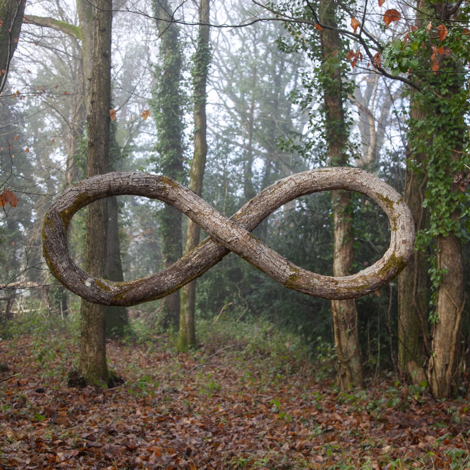 Christophe Guinet monsiur plant infinito