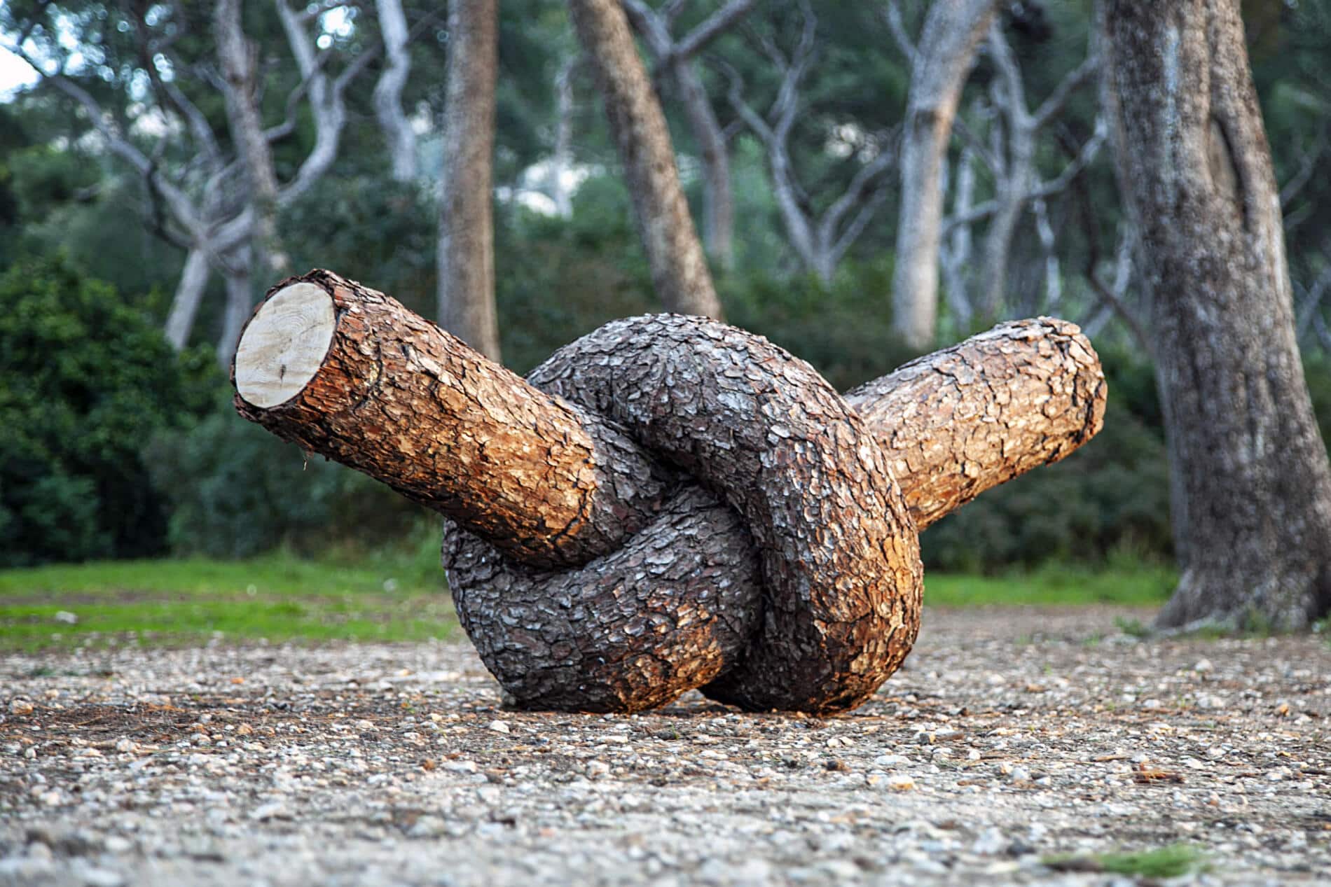 Christophe Guinet monsiur plant
