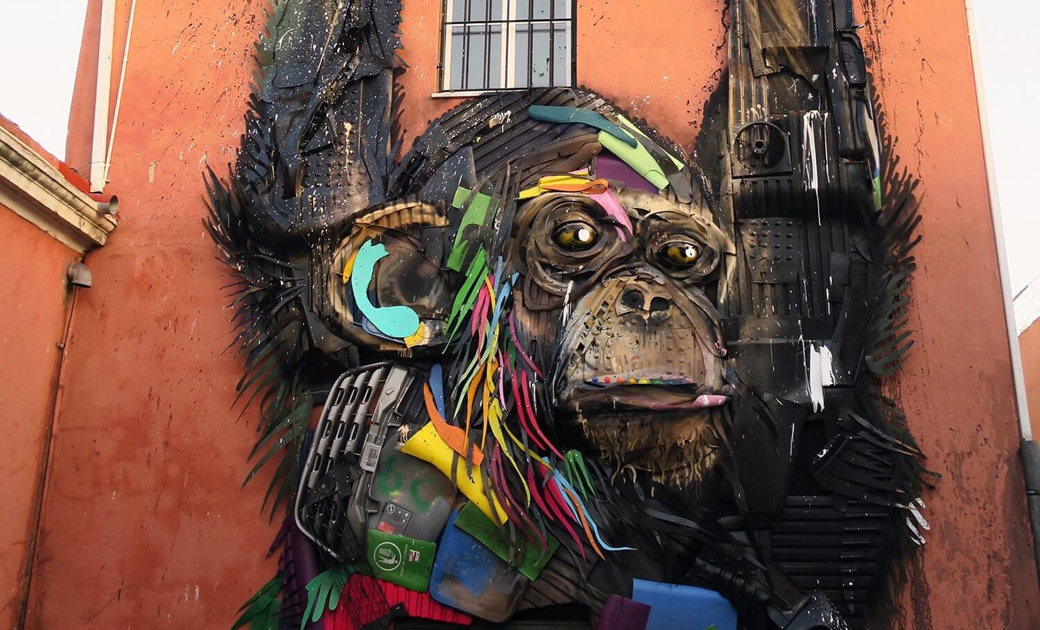 BORDALO MICO