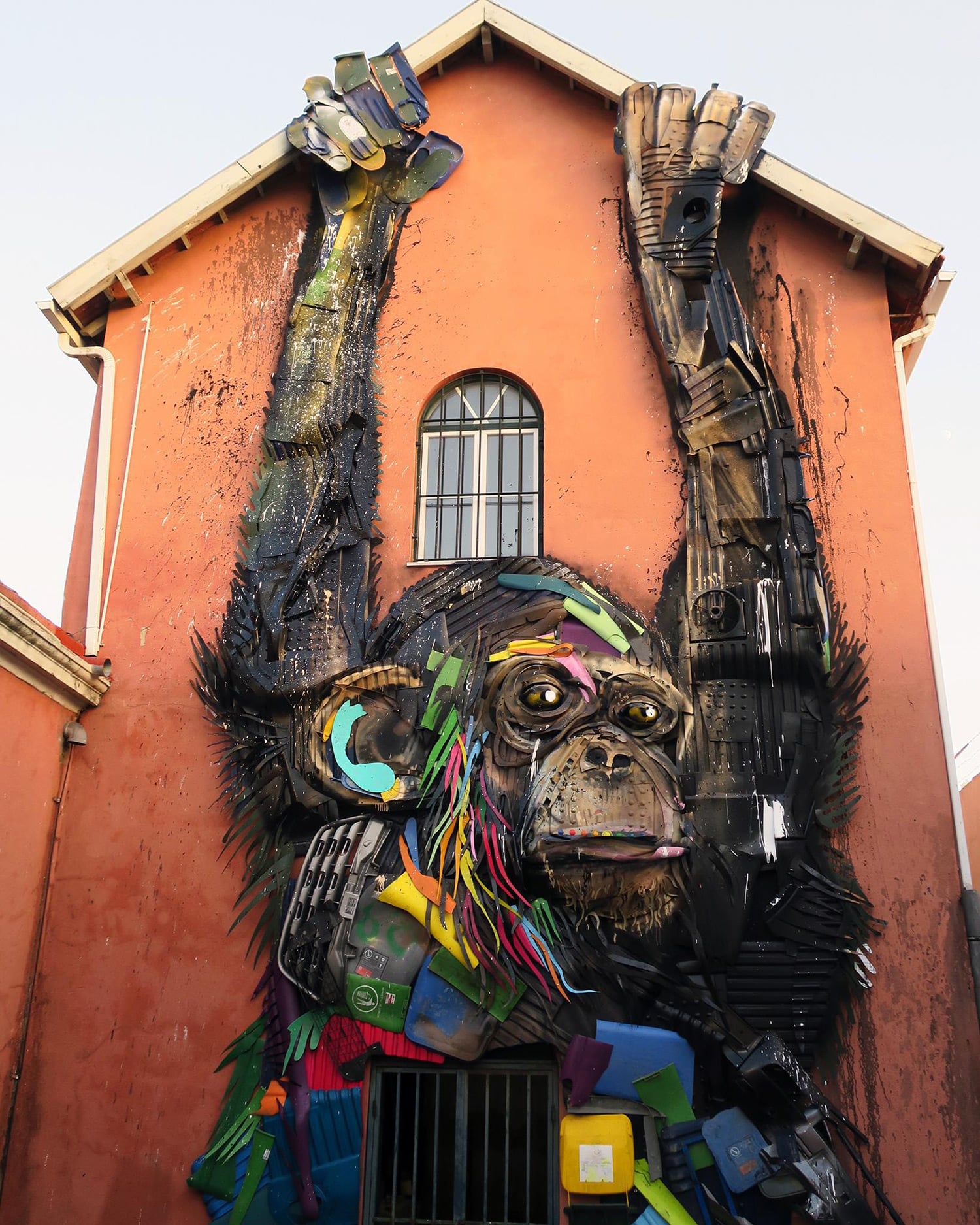 BORDALO MICO