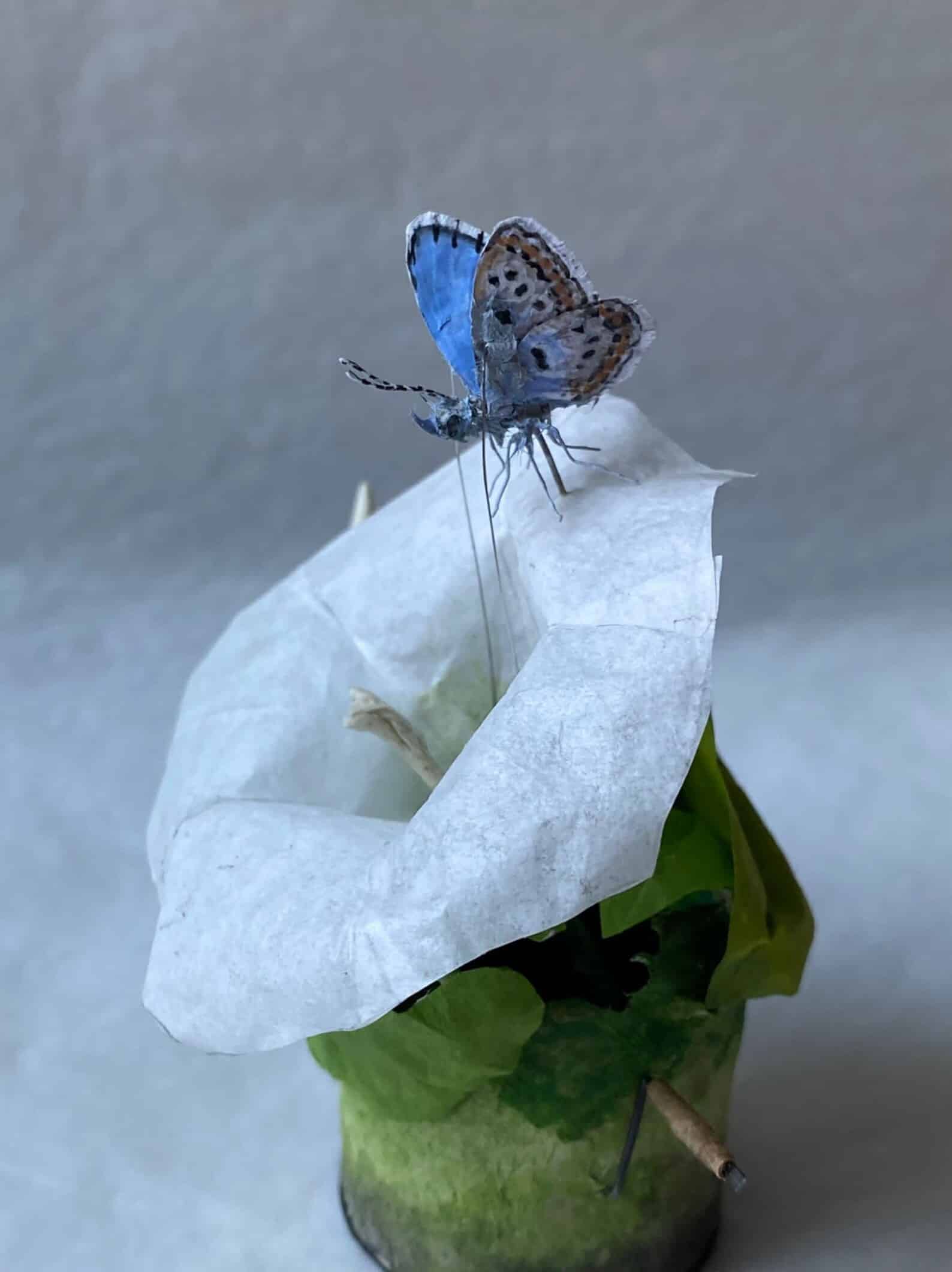 PENNY THOMSON ESCULTURAS PAPEL MACHE MARIPOSA