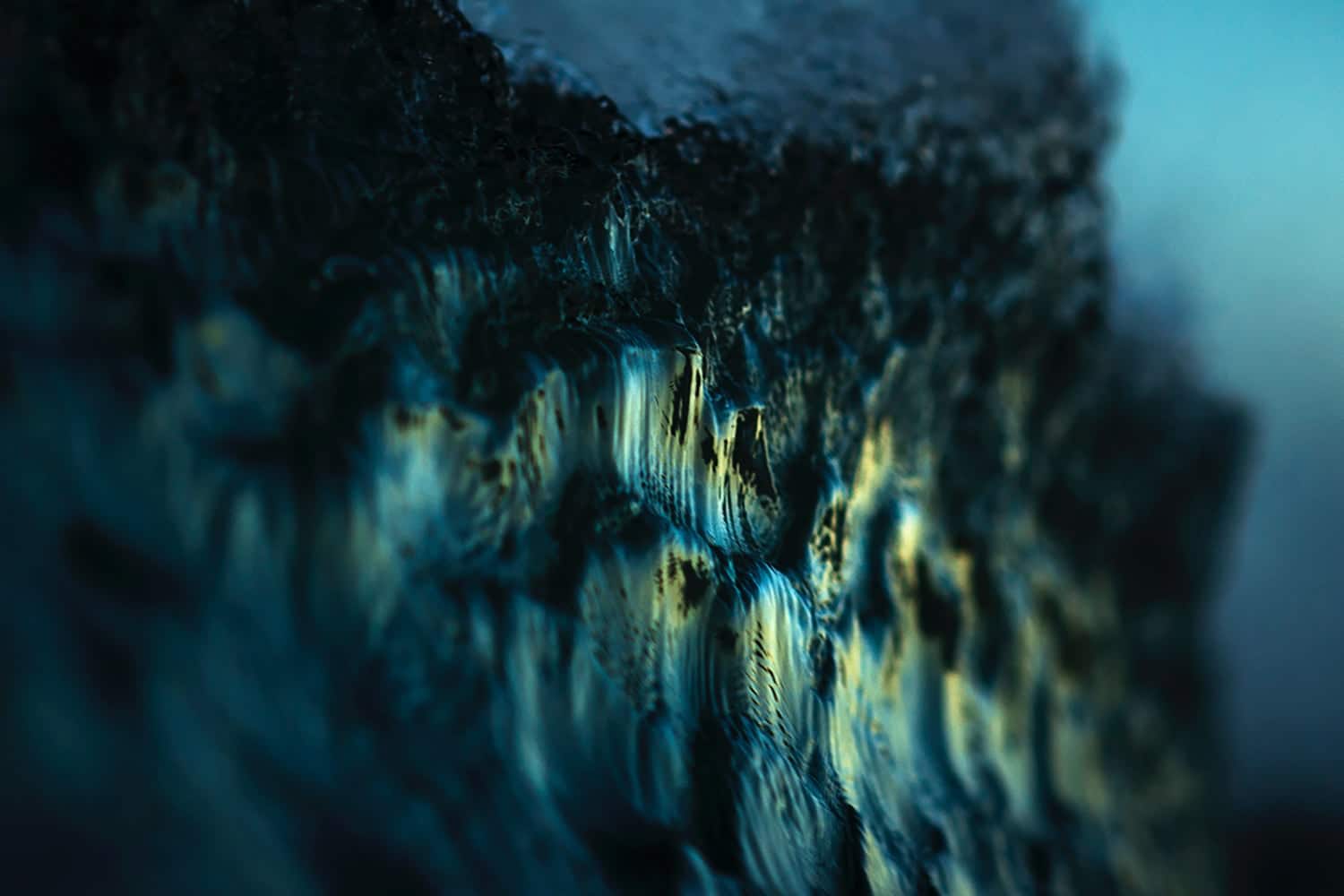 ray collins fotografia oceano Scales