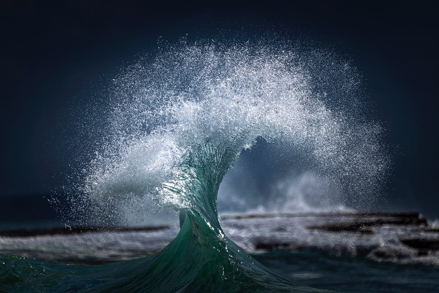 ray collins fotografia oceano Tree of Life
