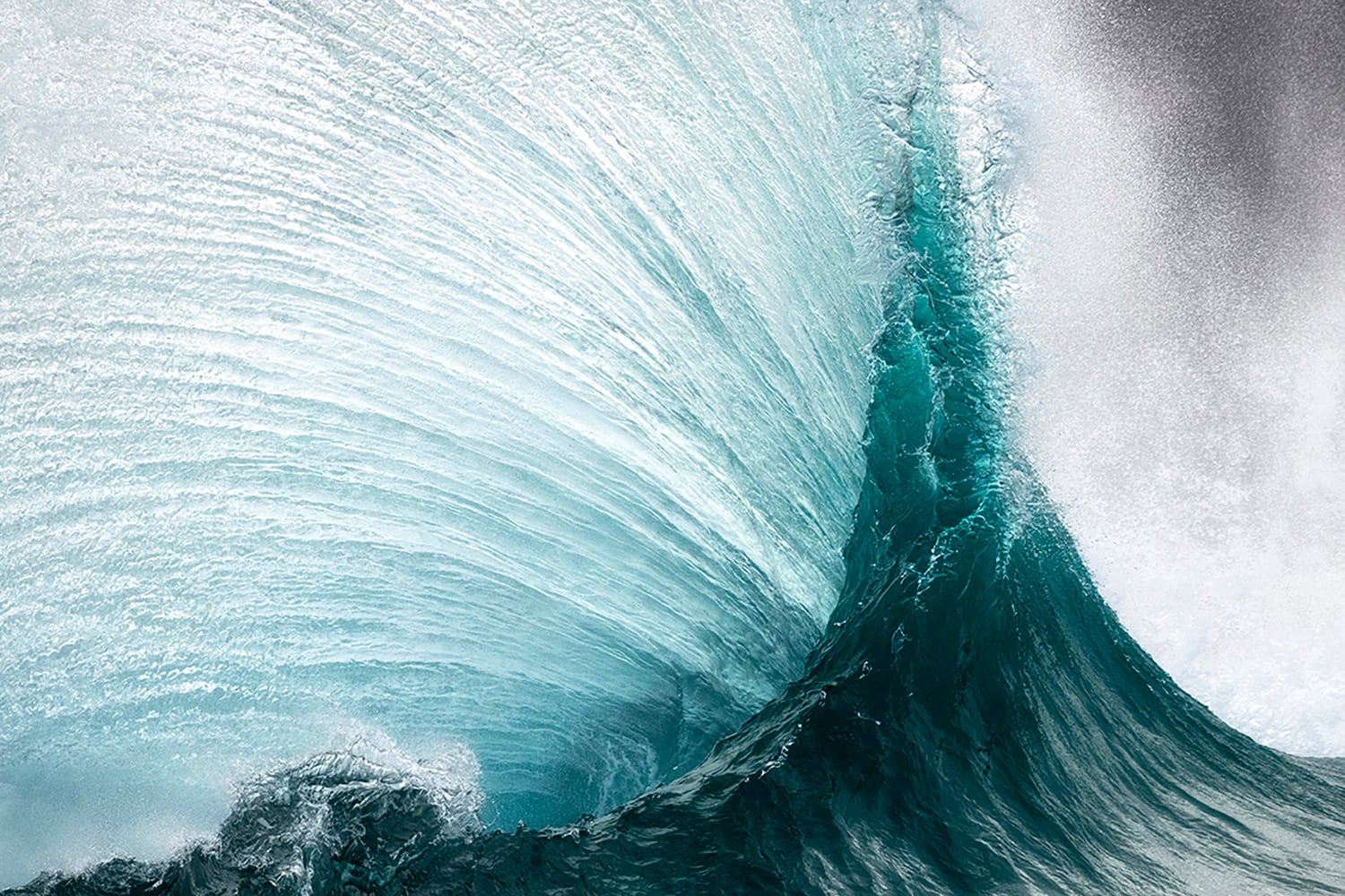 ray collins fotografia oceano