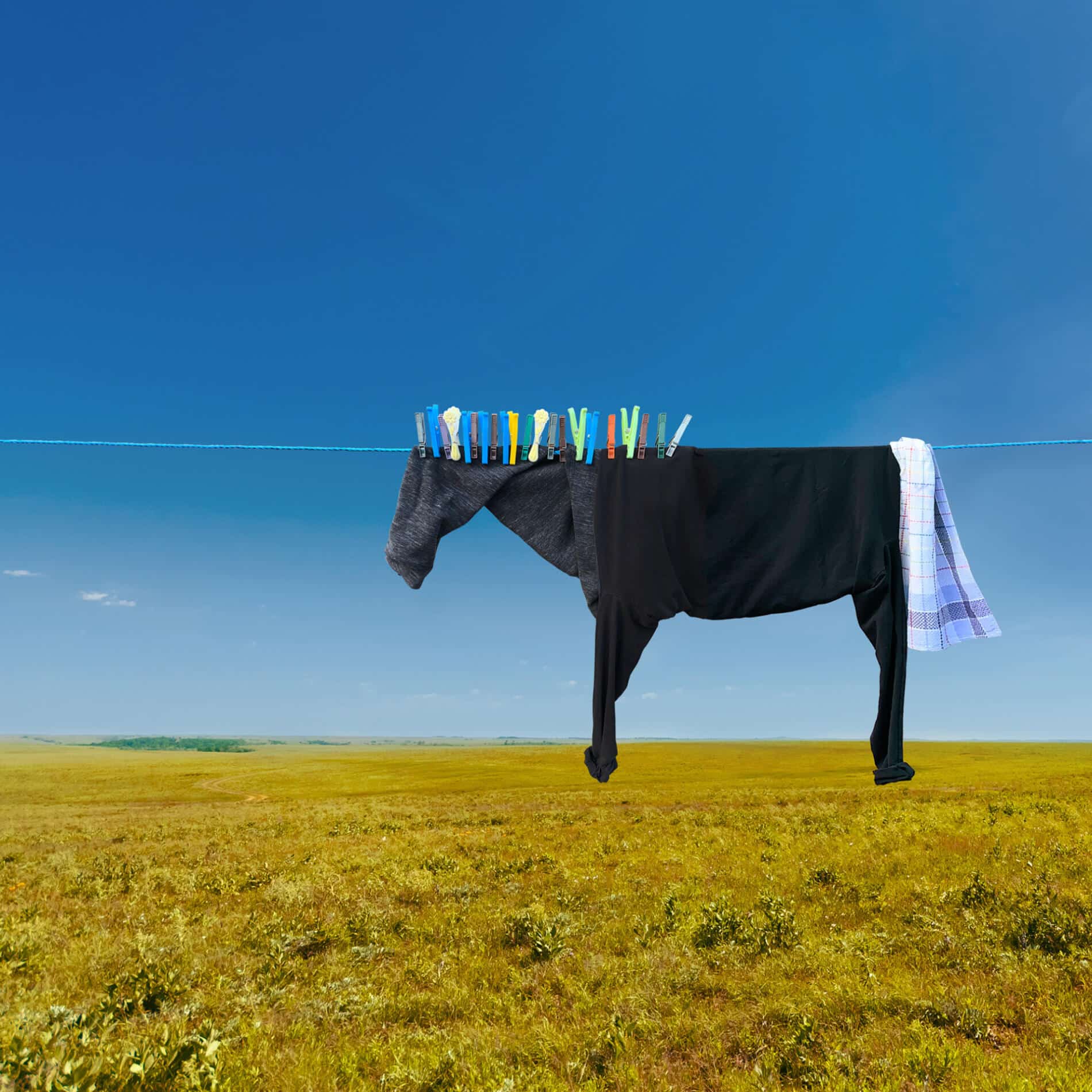 Helga Stentzel fotografia surrealismo domestico caballo