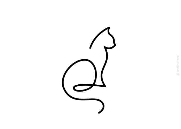 LOOOOP WILD LINES GATO