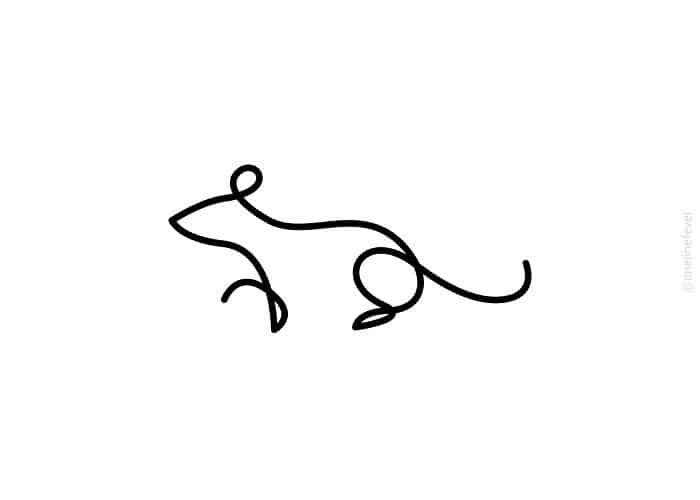 LOOOOP WILD LINES RATON