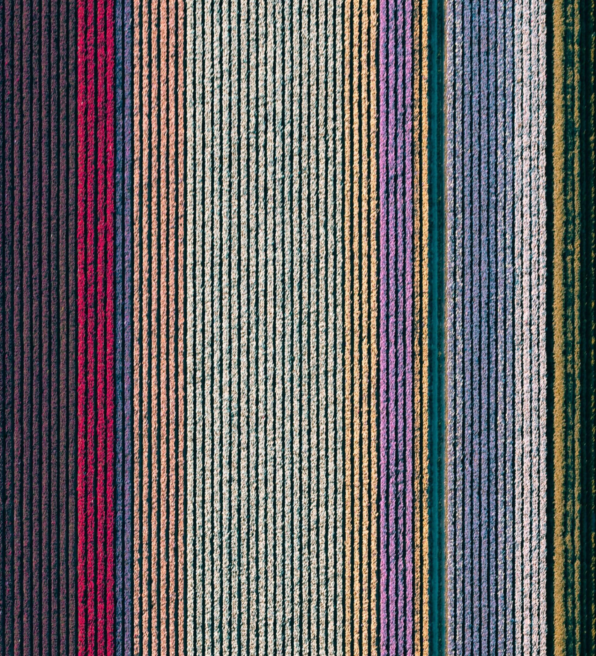 MITCH ROUSE CAMPOS FLORES COLORES