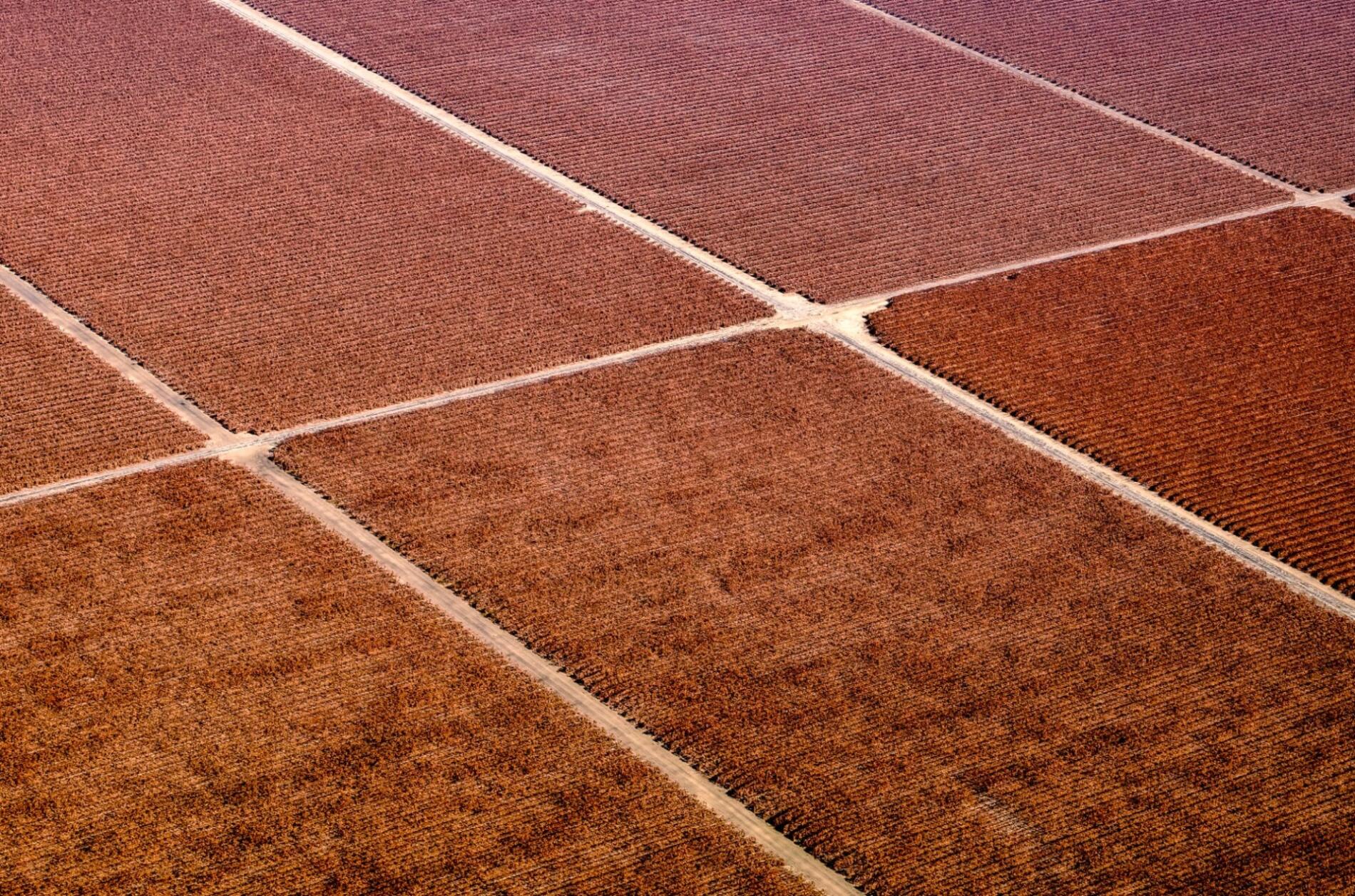 MITCH ROUSE FOTOGRAFIA AEREA CAMPOS SECOS