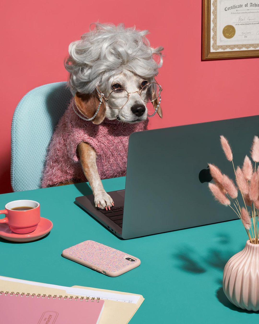 Margeaux Walter perros