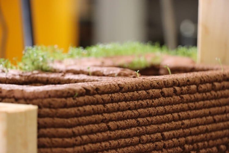 arquitectura sostenible 3d vegetacion tierra