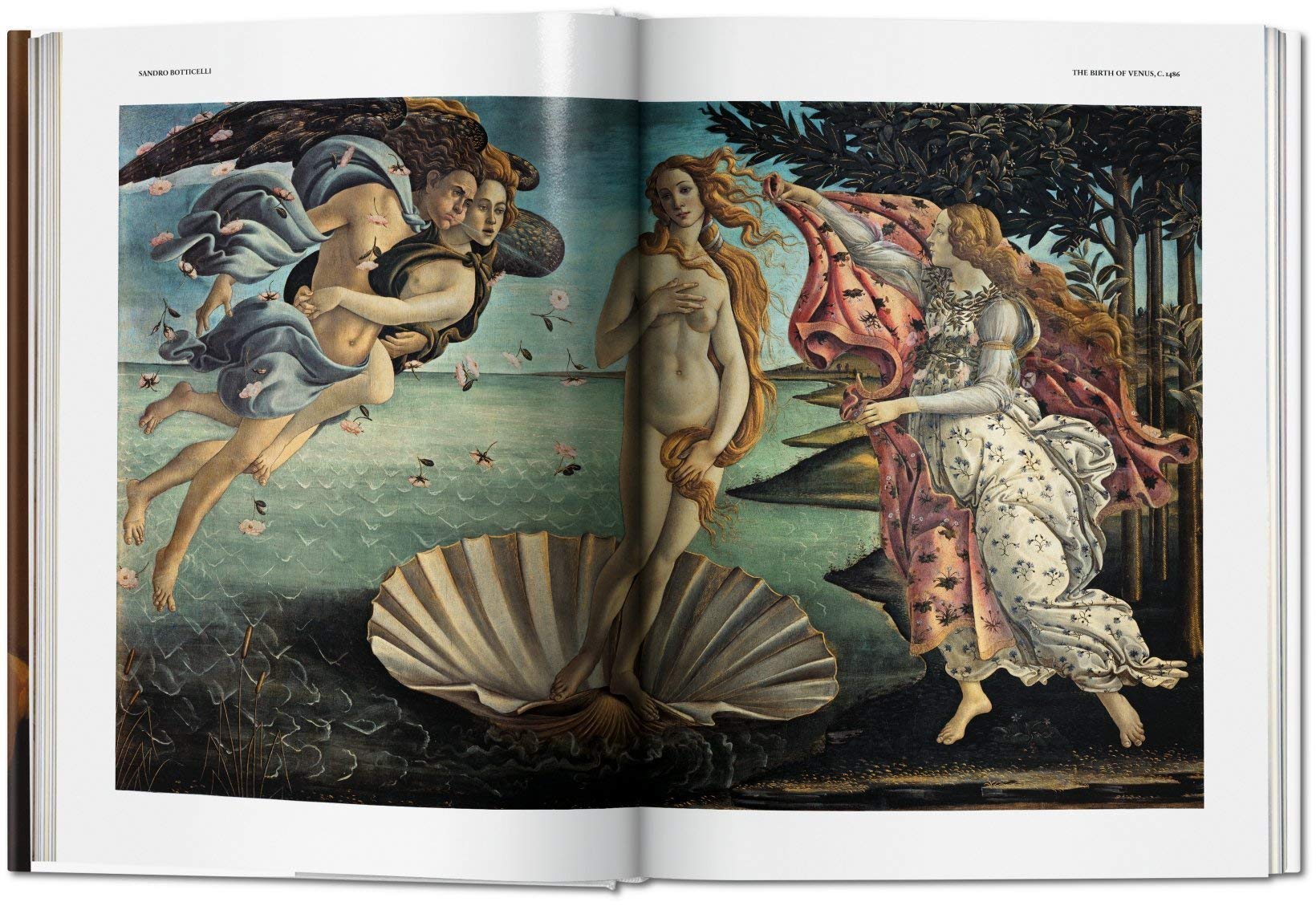 libro arte taschen