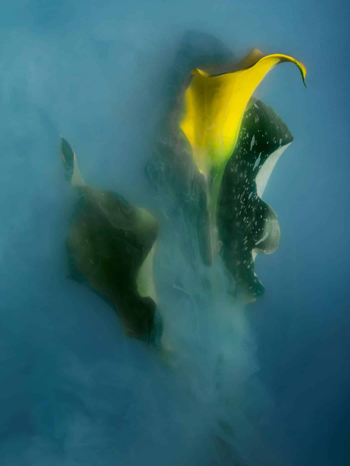 robert peek fotografia humo cartuchos