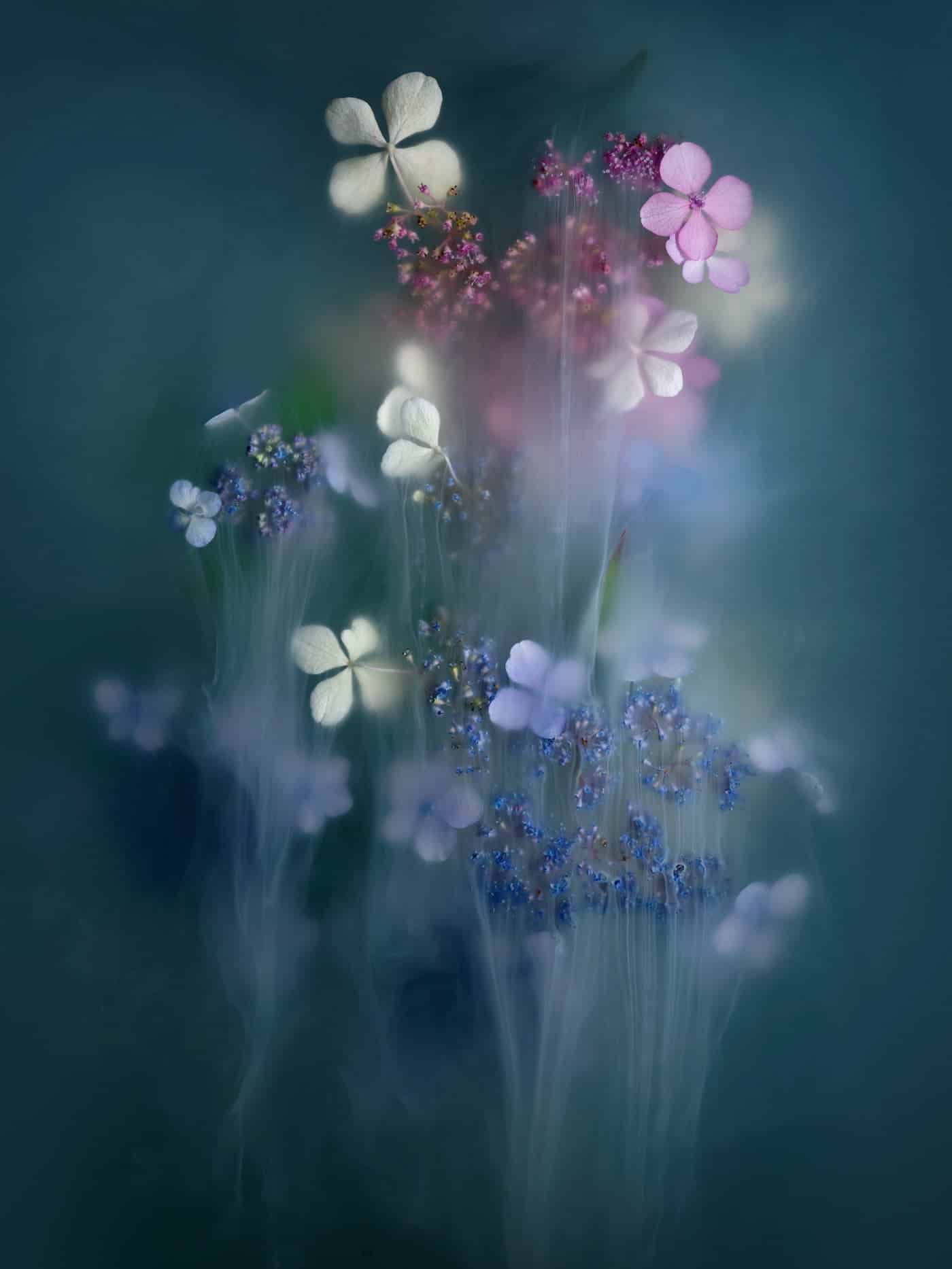 robert peek fotografia humo ramo de flores