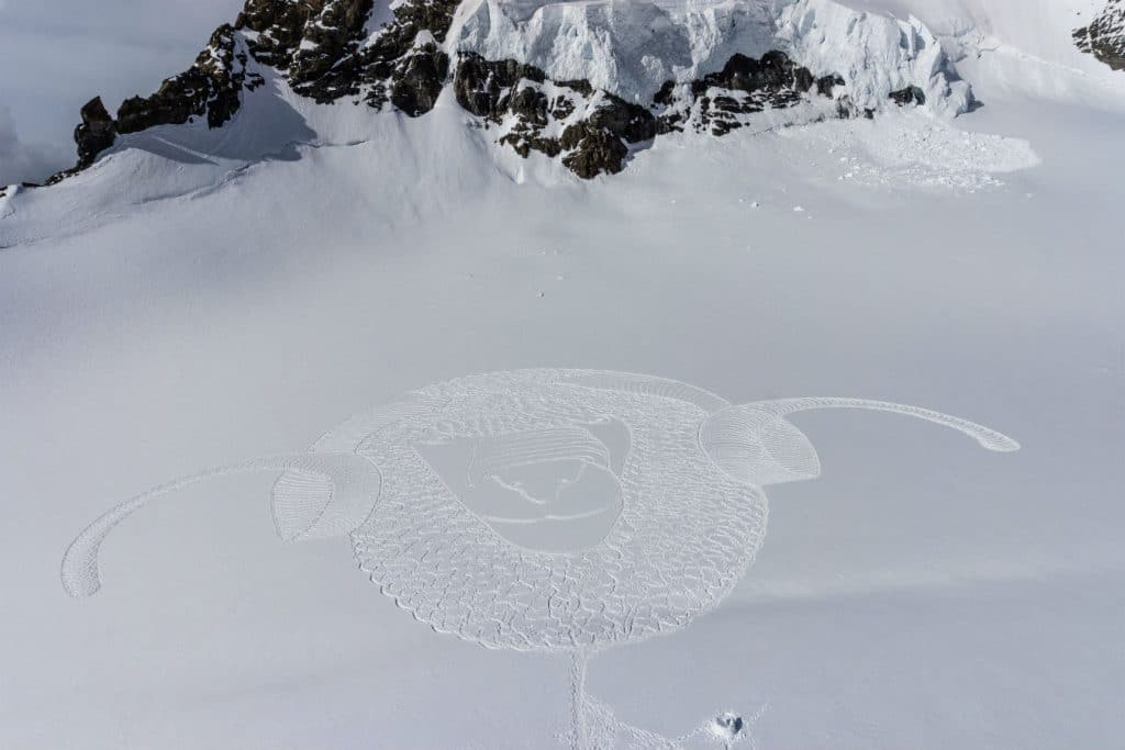 simon bake arte en la nieve ov