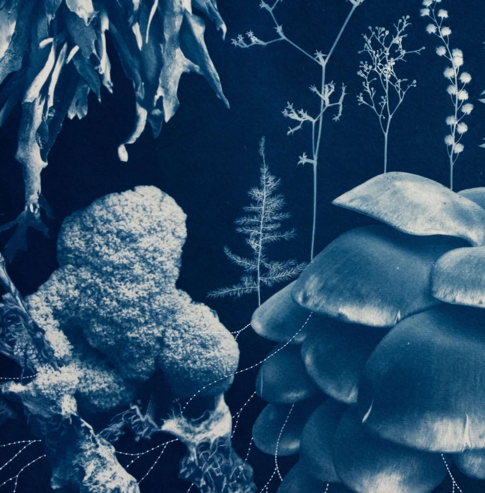 Annalise Neil cianotypes dynamic mutuality