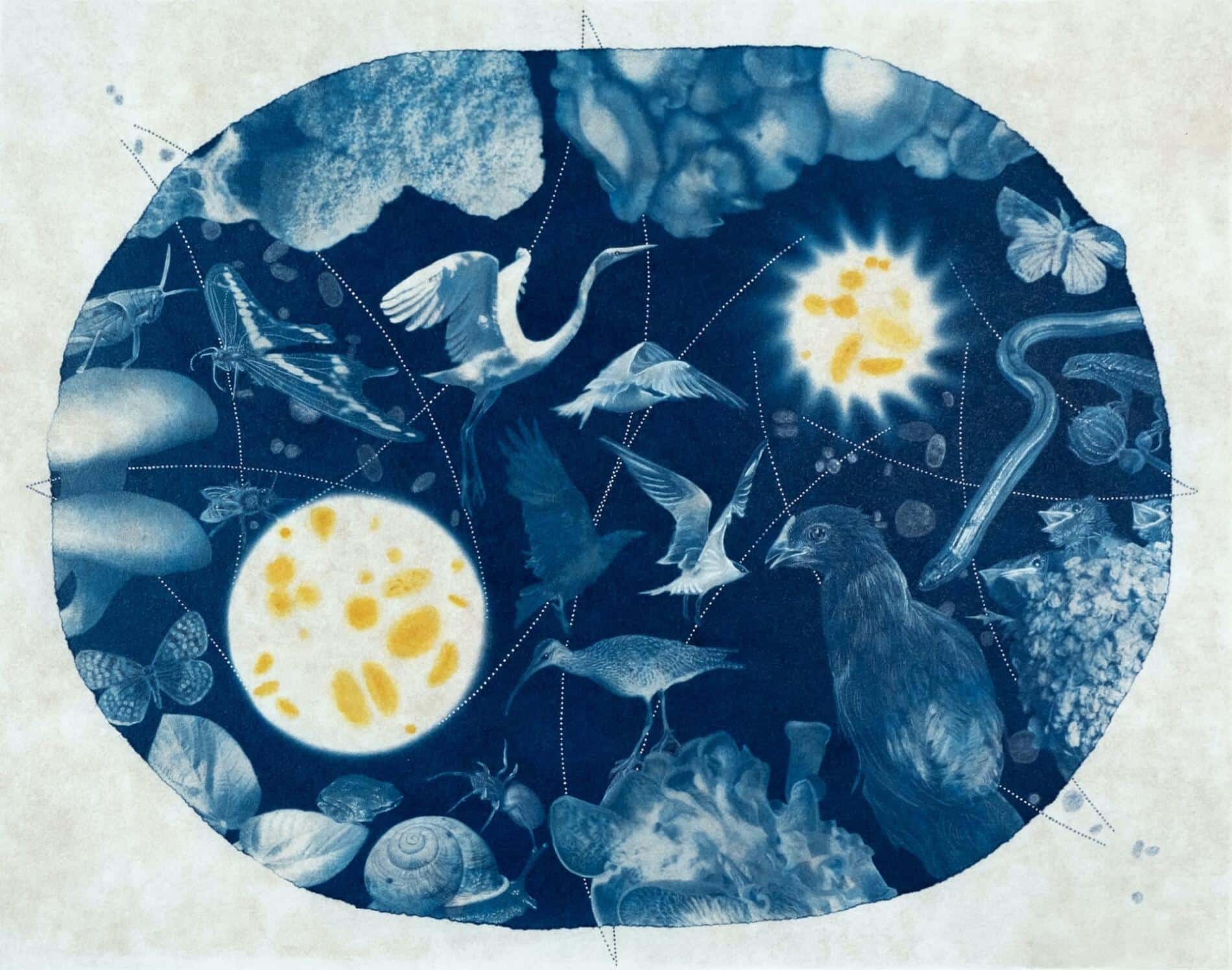Annalise Neil cianotypes extremophile corridors