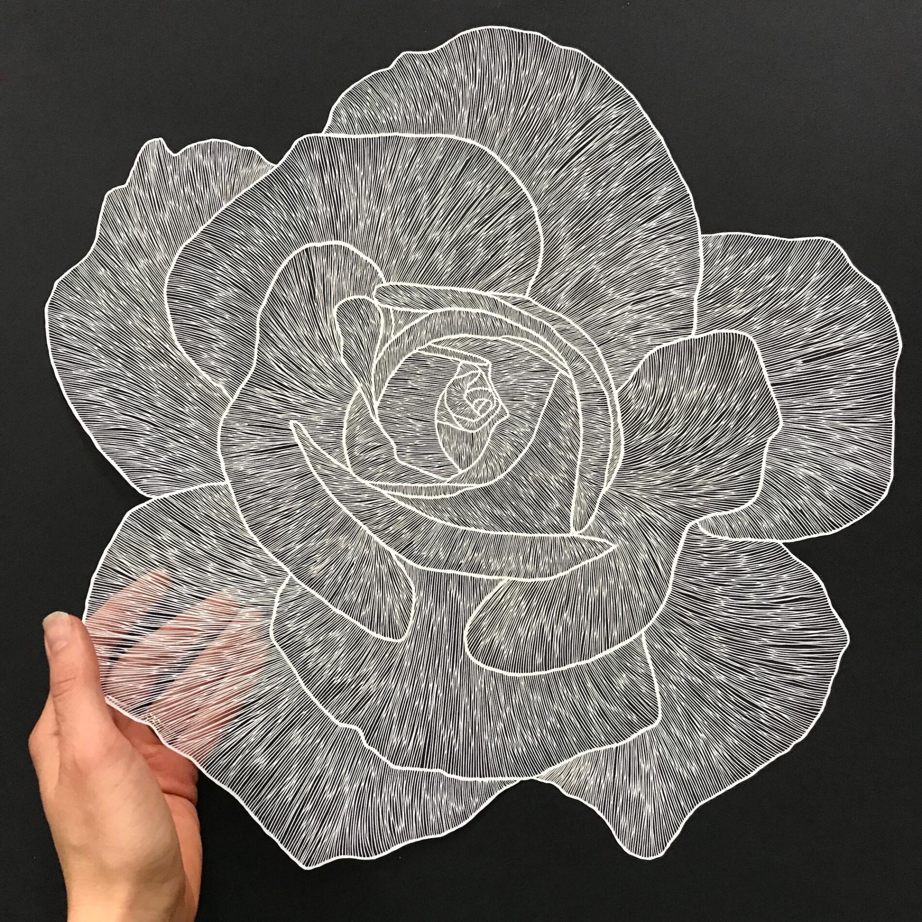 Maude White recortes de papel rosa