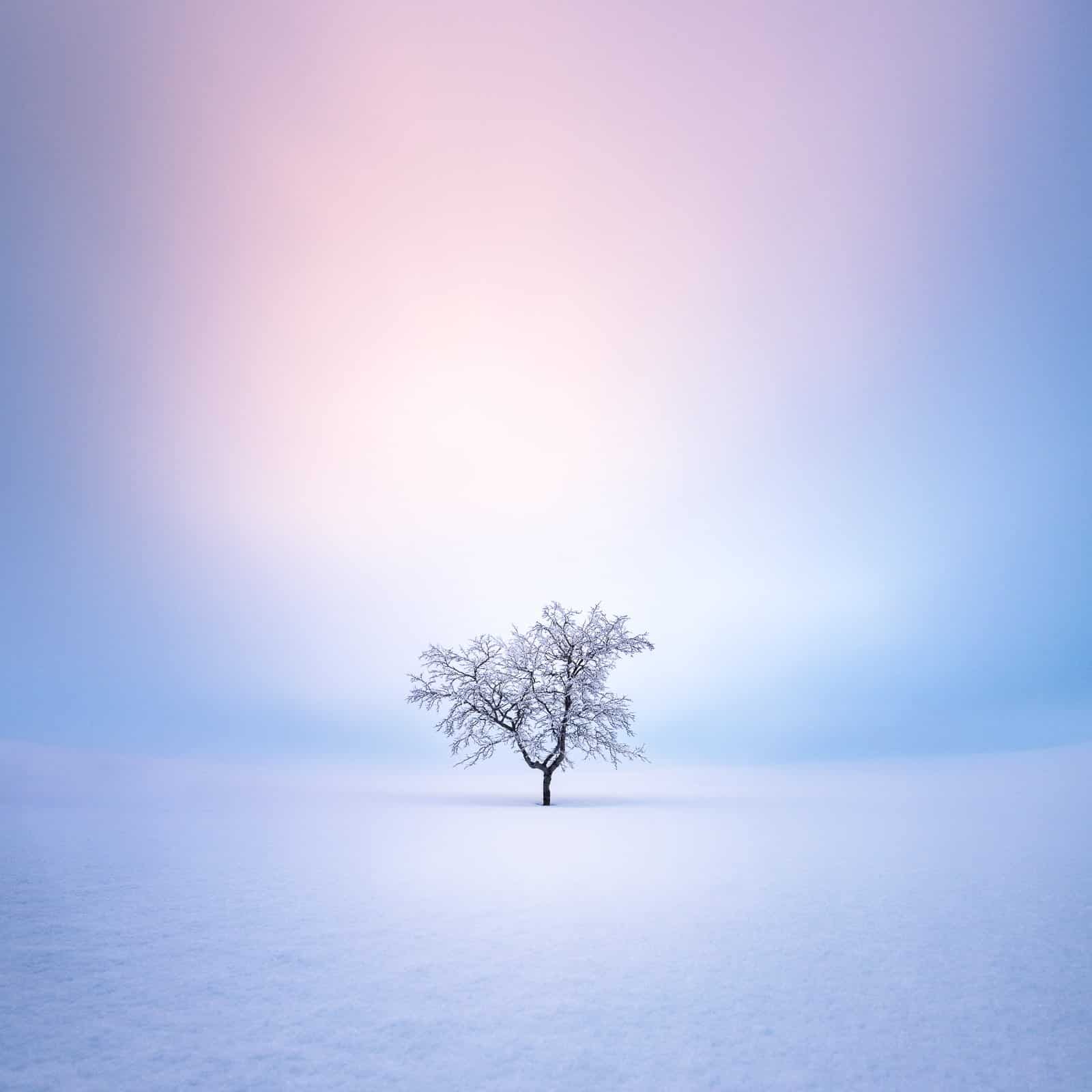 Mikko Lagerstedt fotografia de larga exposion solitud