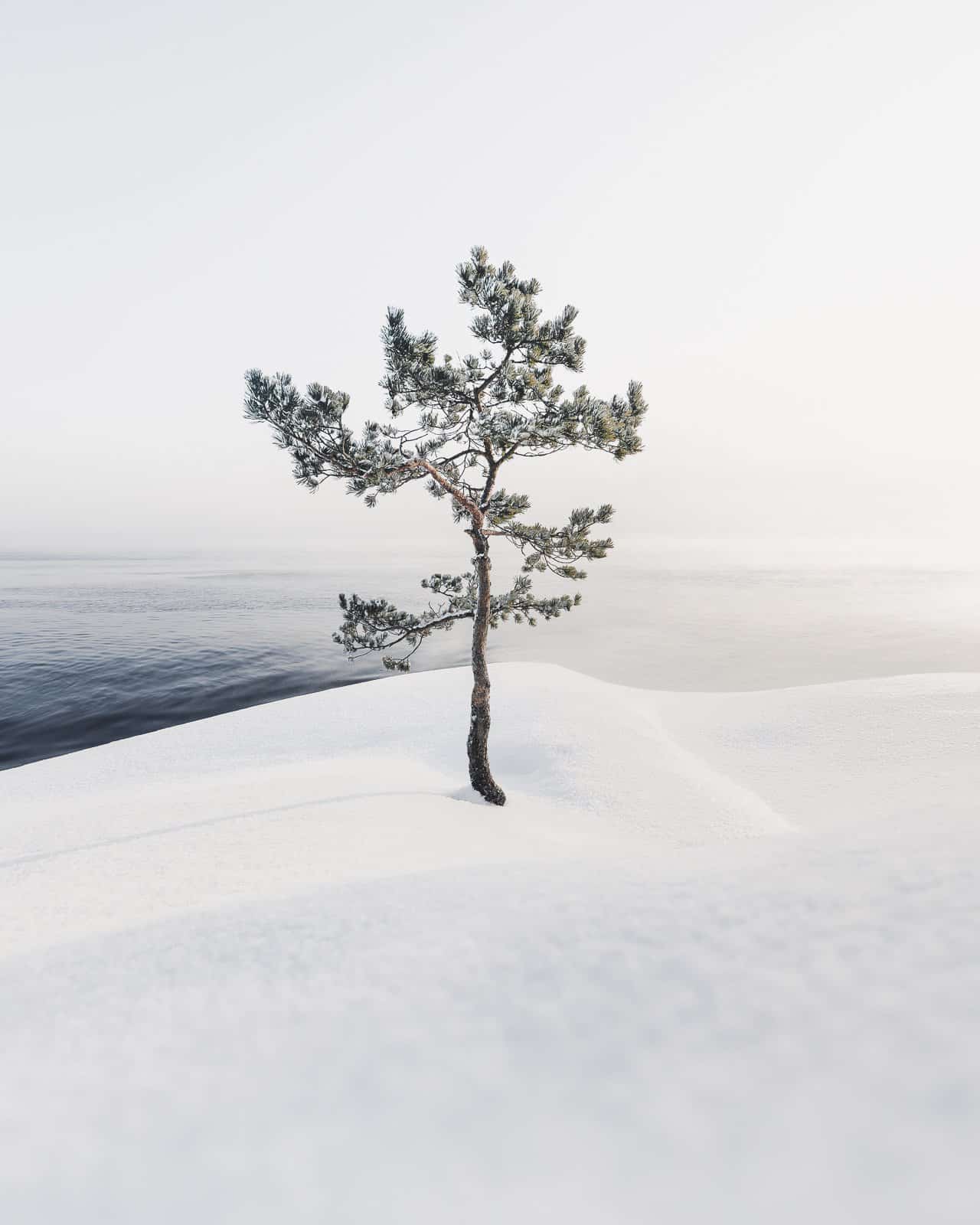 Mikko Lagerstedt resilence