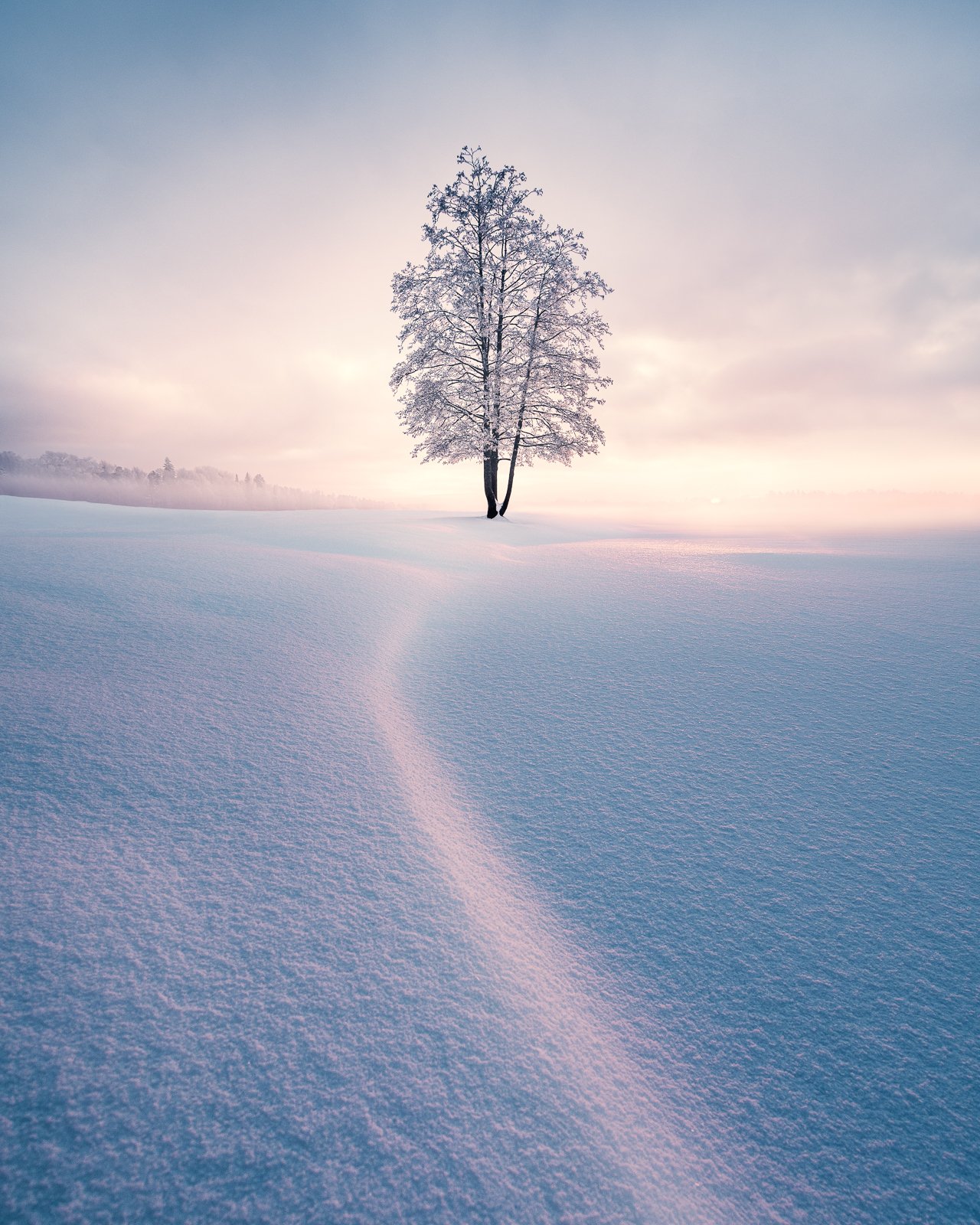 Mikko Lagerstedt winter solitud