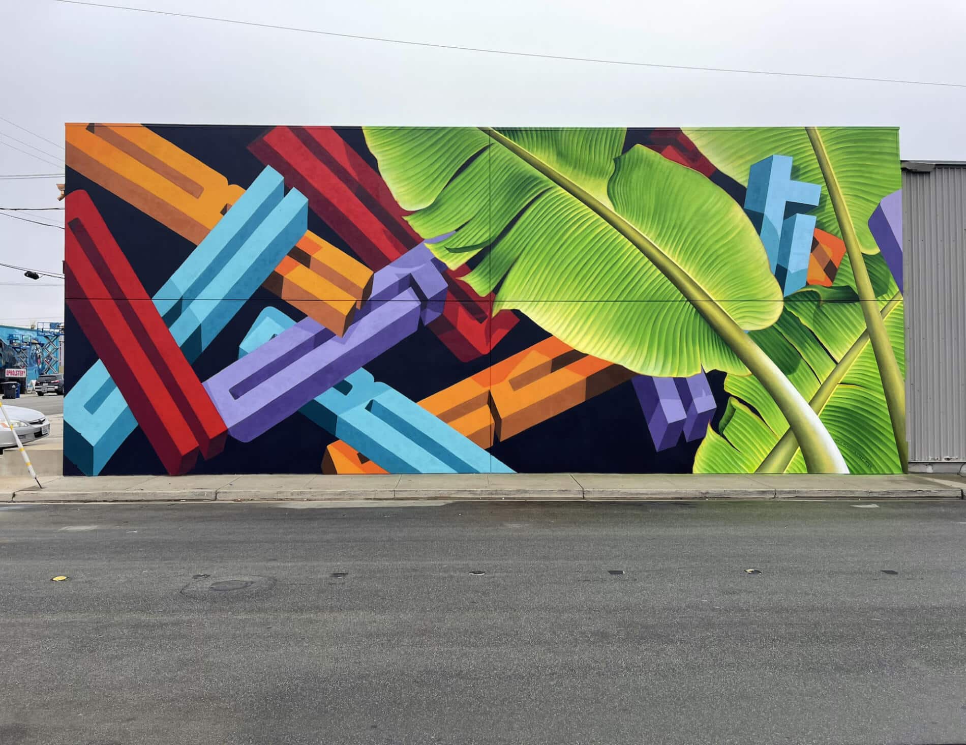 pref murales tipograficos NATURE