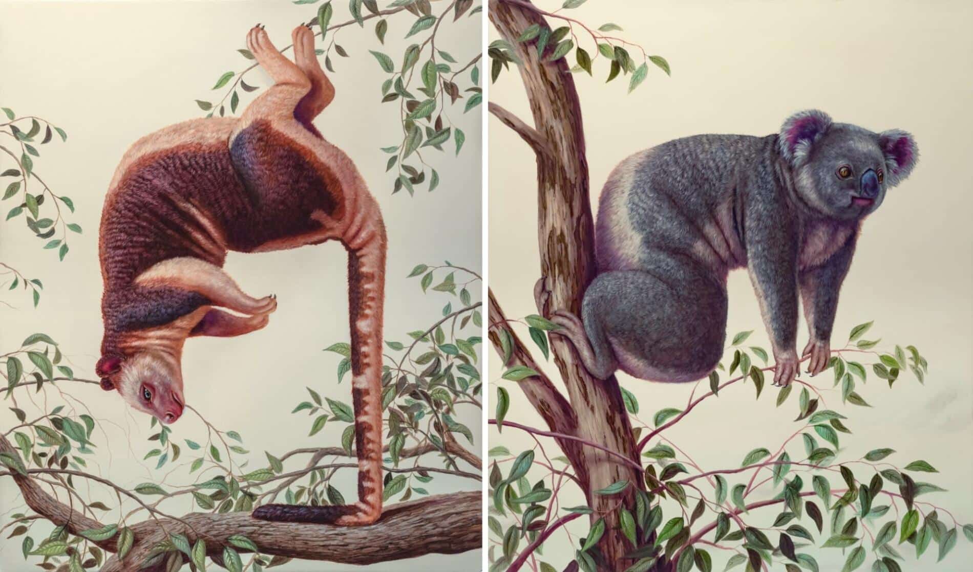 Bruno Pontiroli ointura surreal imposibles
