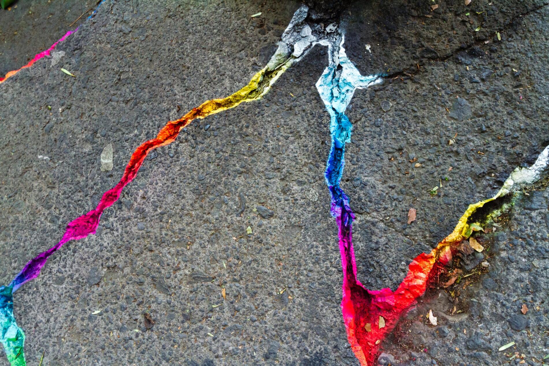xomatok street art calles de mexico arboles intervenciones