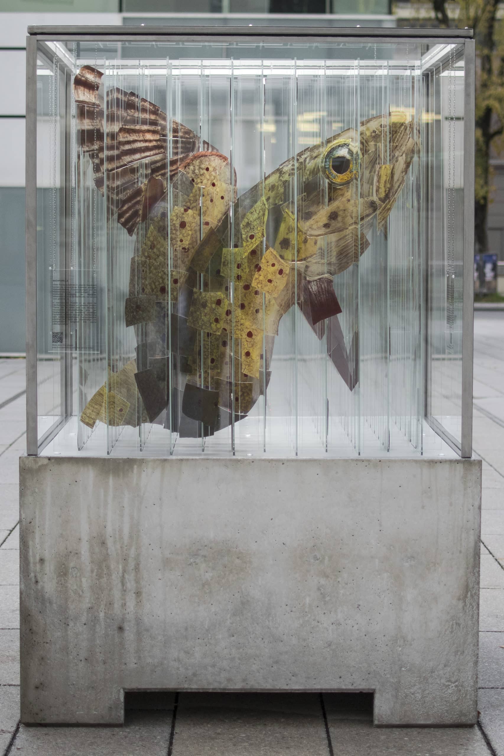 Thomas Medicus animales de cristal pescado