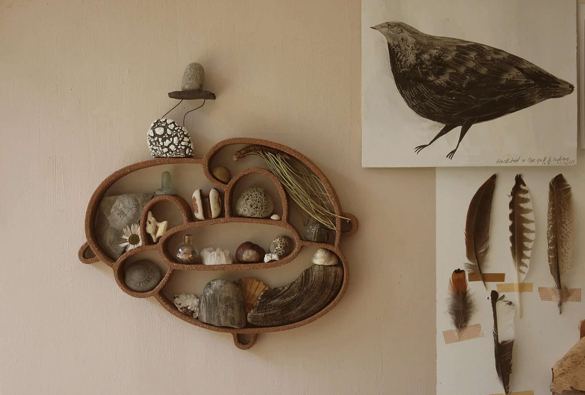 Katie Rose Johnston gabinetes de curiosidades boho