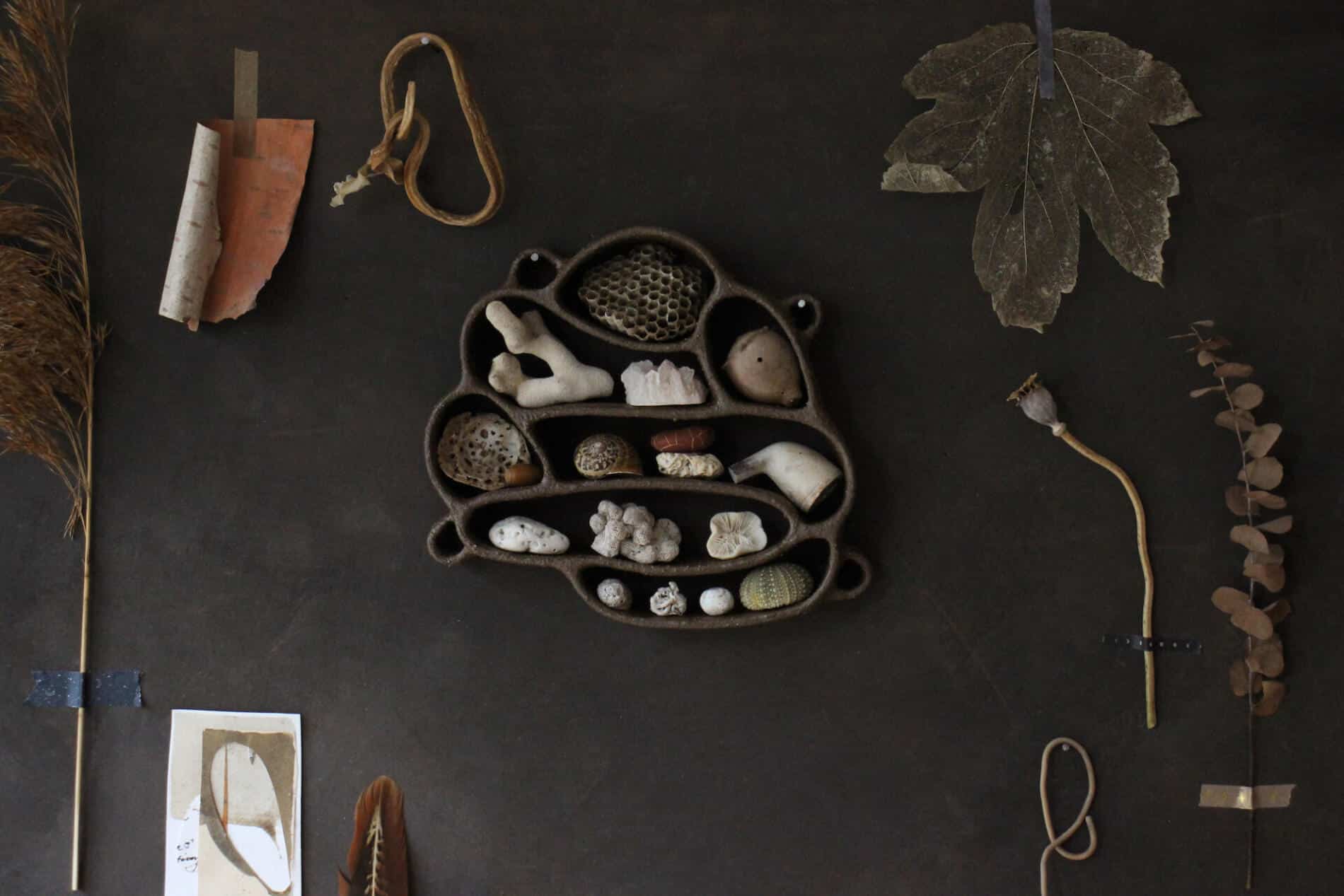 Katie Rose Johnston gabinetes de curiosidades deco