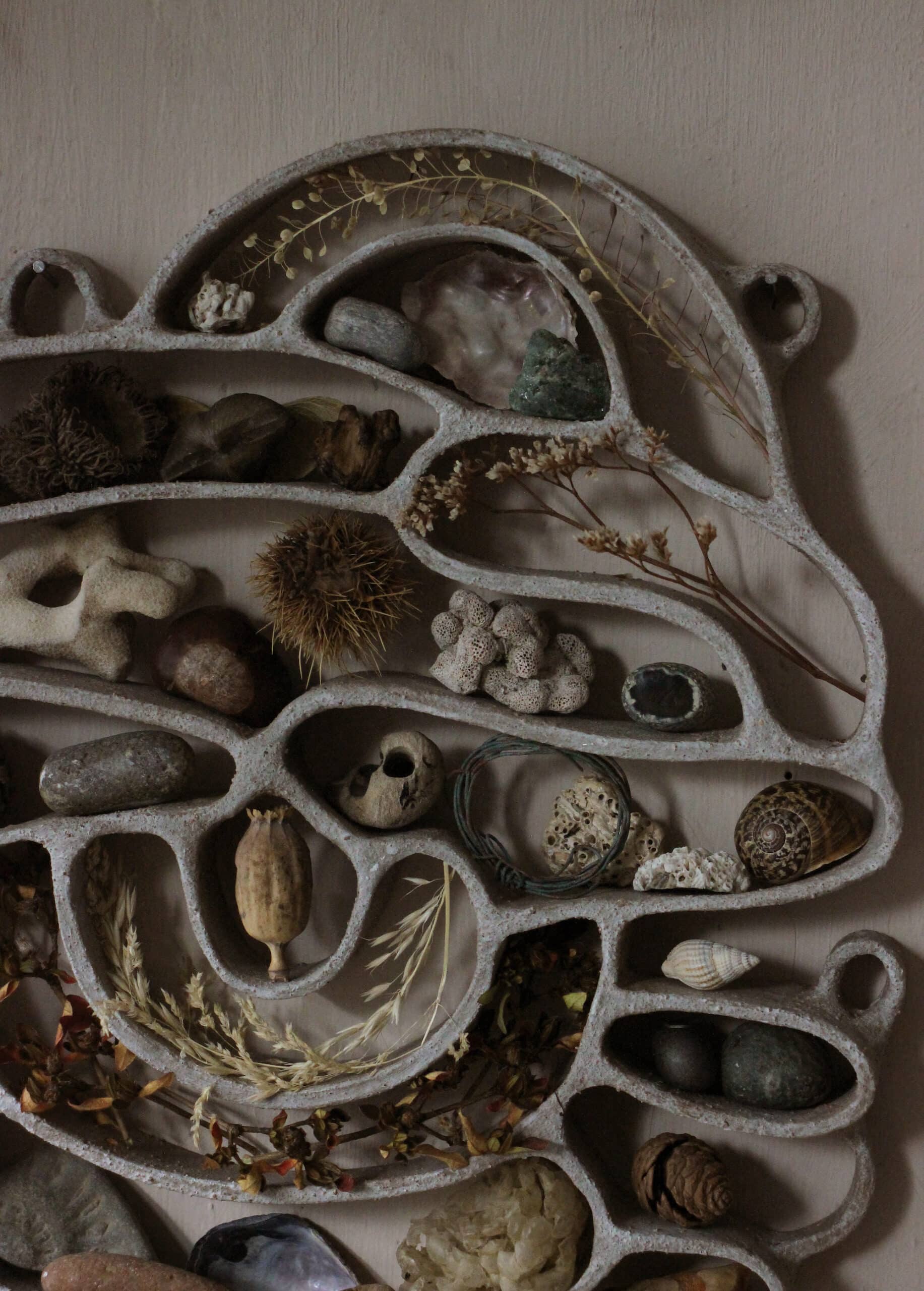 Katie Rose Johnston gabinetes de curiosidades detalle