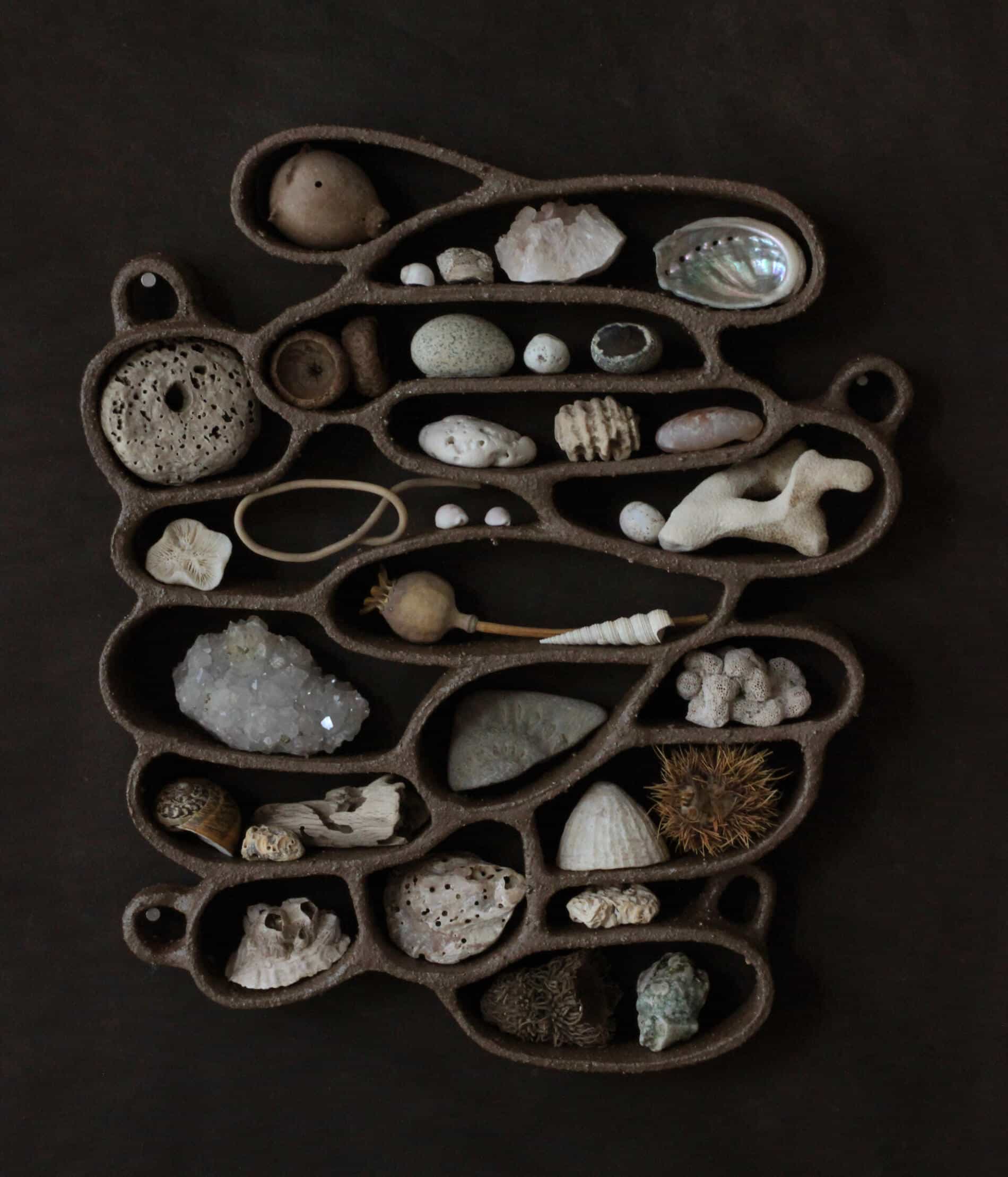 Katie Rose Johnston gabinetes de curiosidades