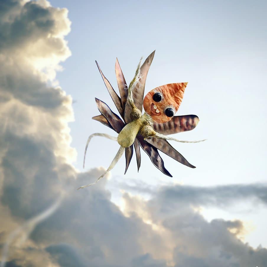 Sylvain Trabut personajes de naturaleza mariposa