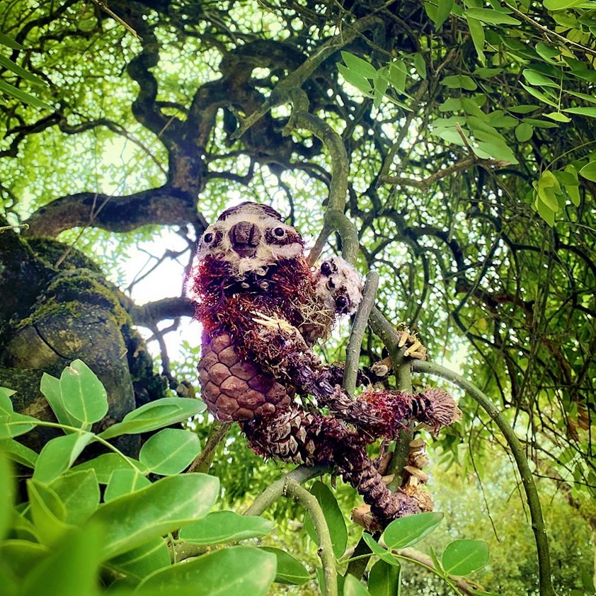 Sylvain Trabut personajes de naturaleza oso peresoso