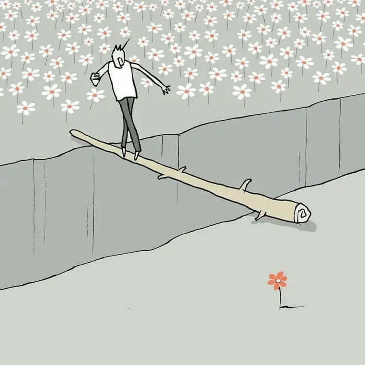 Yuval Robichek ilustraciones flores