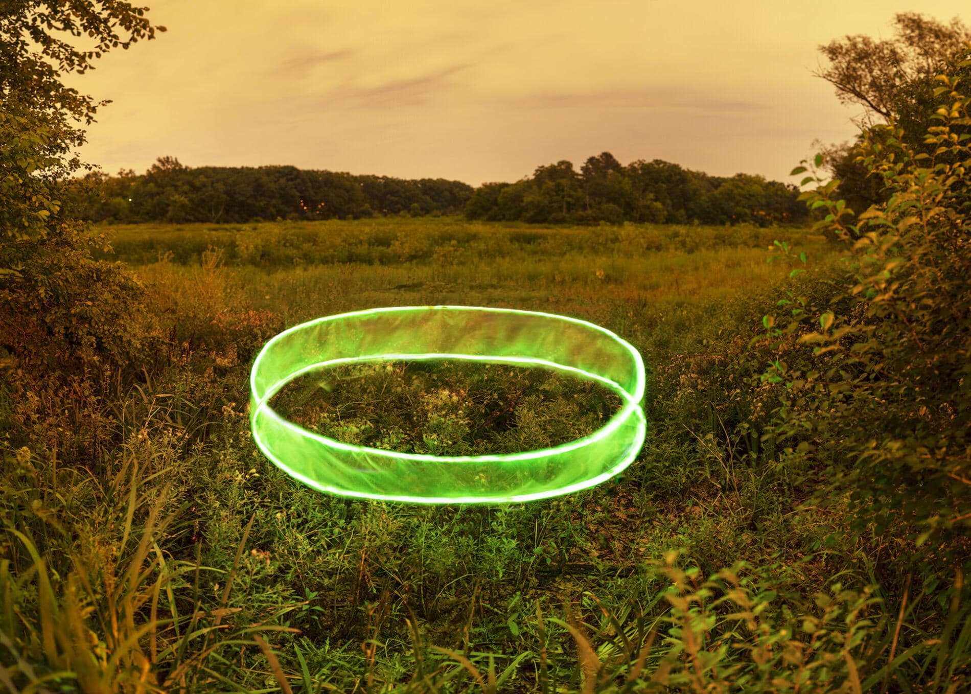 Barry Underwood neon verde