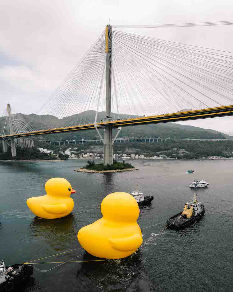patos de goma