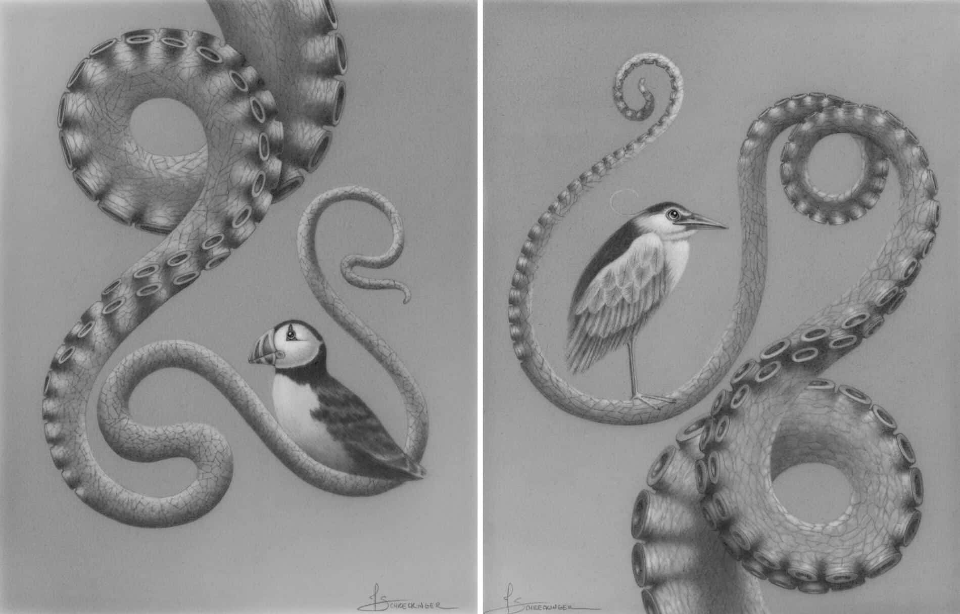 Juliet Schrekinger animales blanco y negro Left Clara Right Hamlin