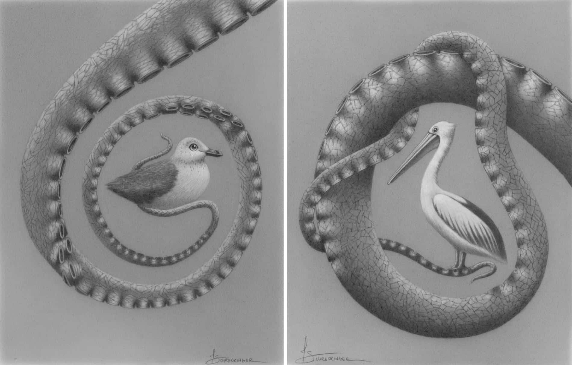 Juliet Schrekinger animales blanco y negro Left Horton Right Willy