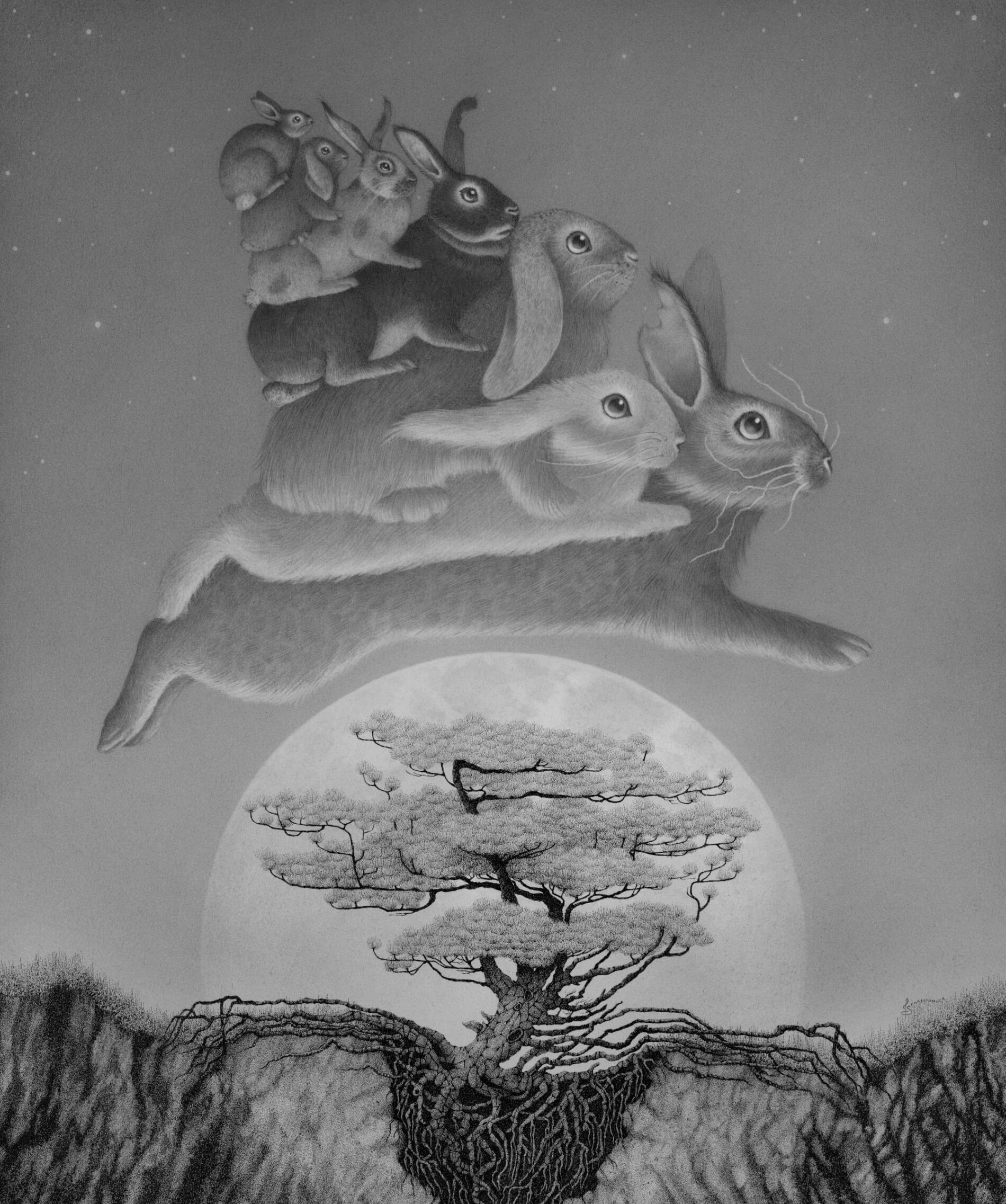 Juliet Schrekinger animales blanco y negro conejos