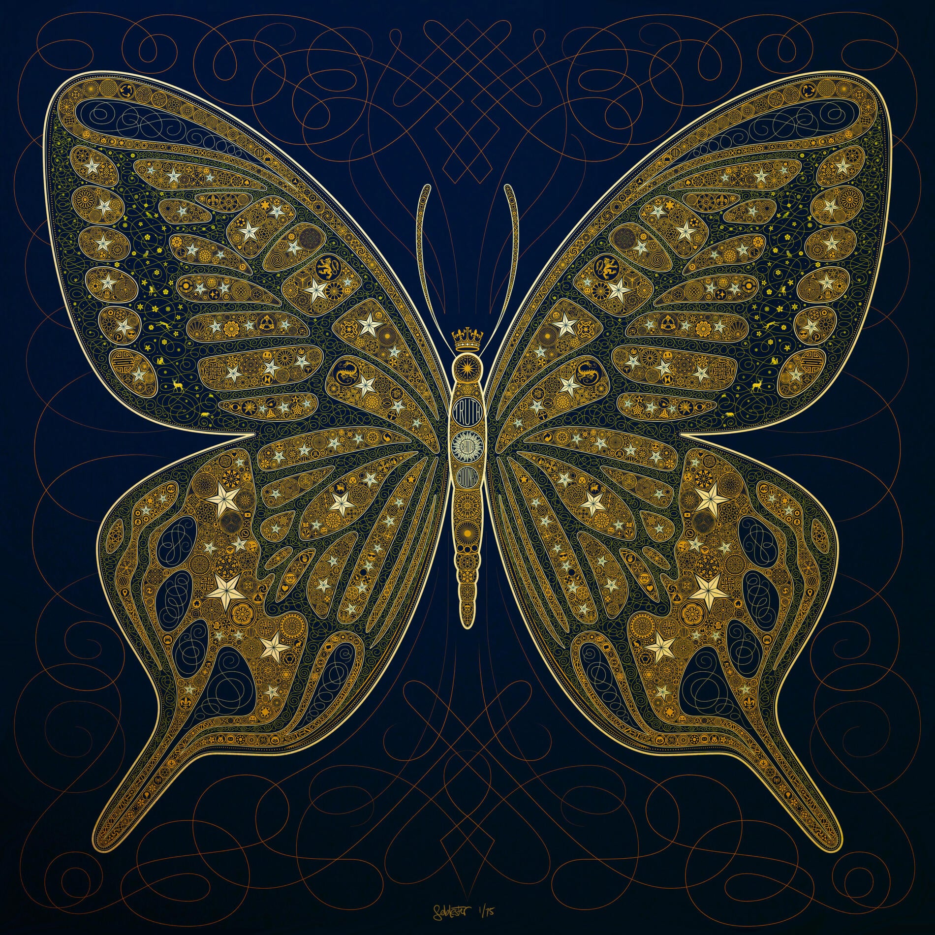 SEB LESTER butterfly