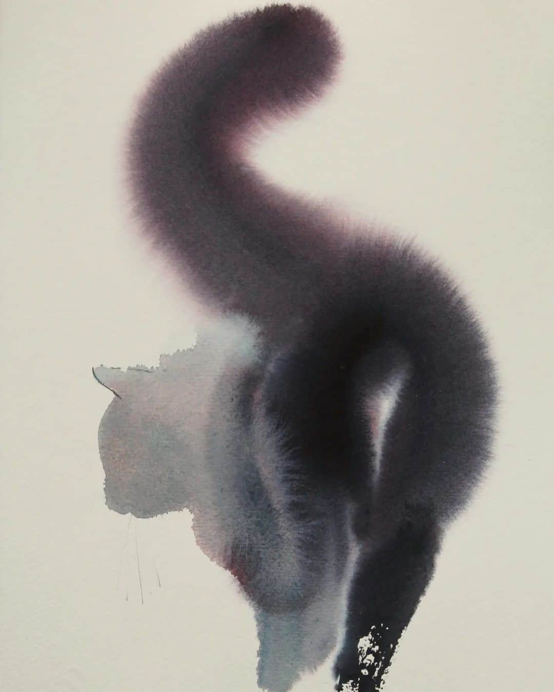 Endre Penovác gatos negros