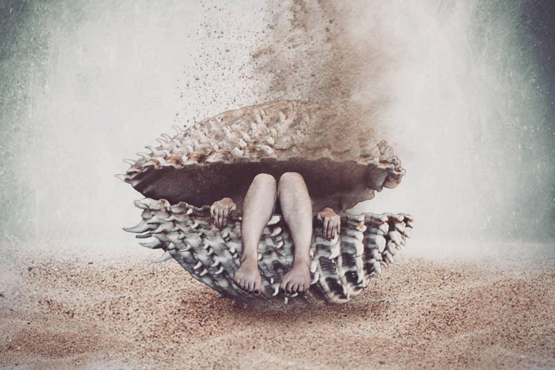 Lila Frenopoulou shell