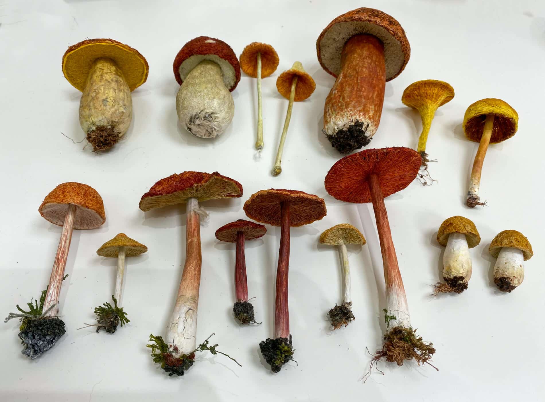Amanda Cobbett esculturas hongos