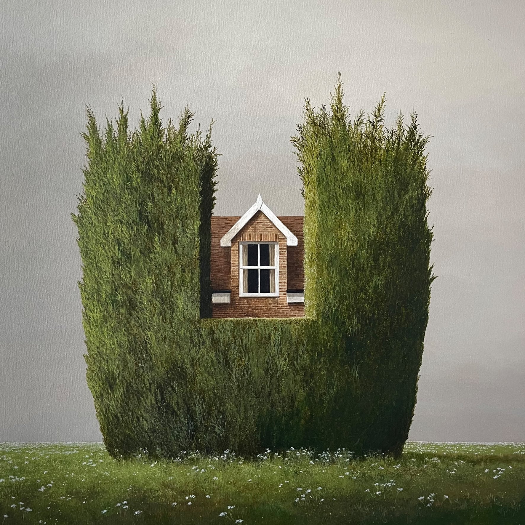Lee Madgwick summer fen view