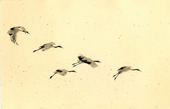 Masao Yamamoto mijimalista