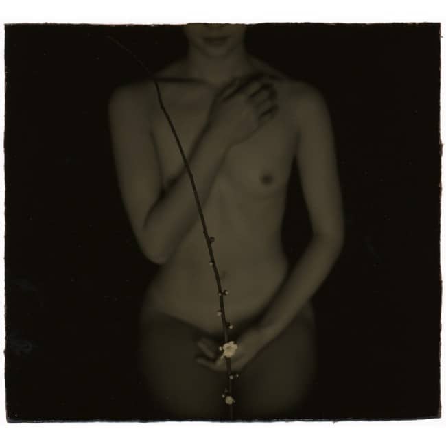 Masao Yamamoto minimal body